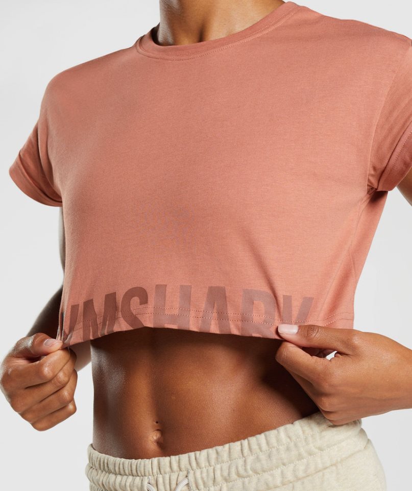 Women's Gymshark Fraction Cropped Tops Brown | NZ 0EYHLA